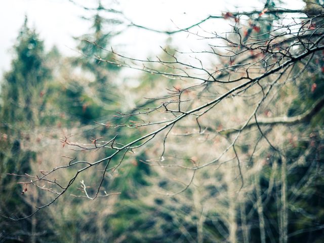 Comment maintenir un bon moral pendant l’hiver ?